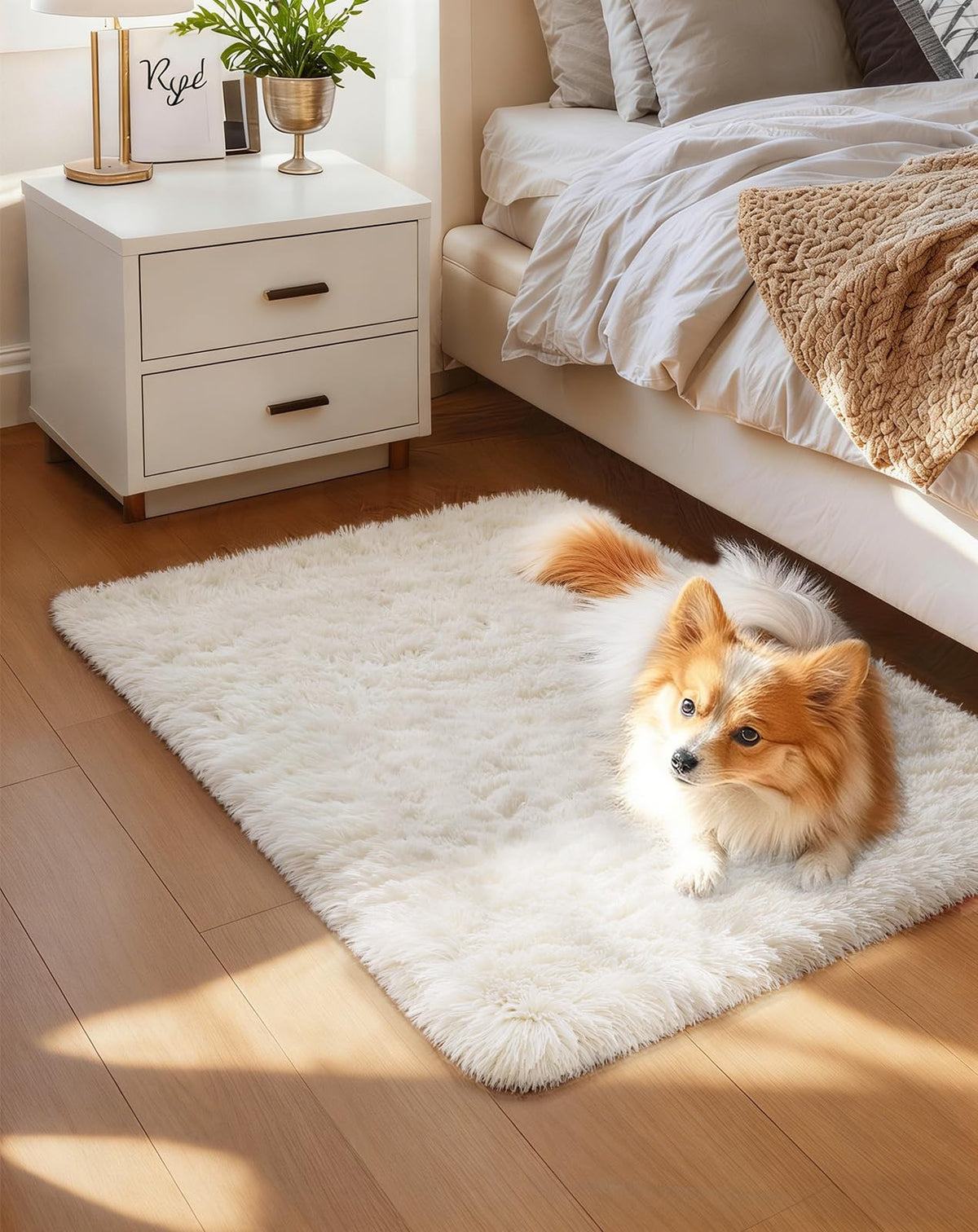 Ophanie 5x7 Area Rugs for Living Room Ivory, Fluffy Shag Large Fuzzy Plush Soft Rug, Shaggy Floor Big Carpets for Bedroom Nursery, Kids Home Decor Aesthetic with Over 99 pcs Pile fibers