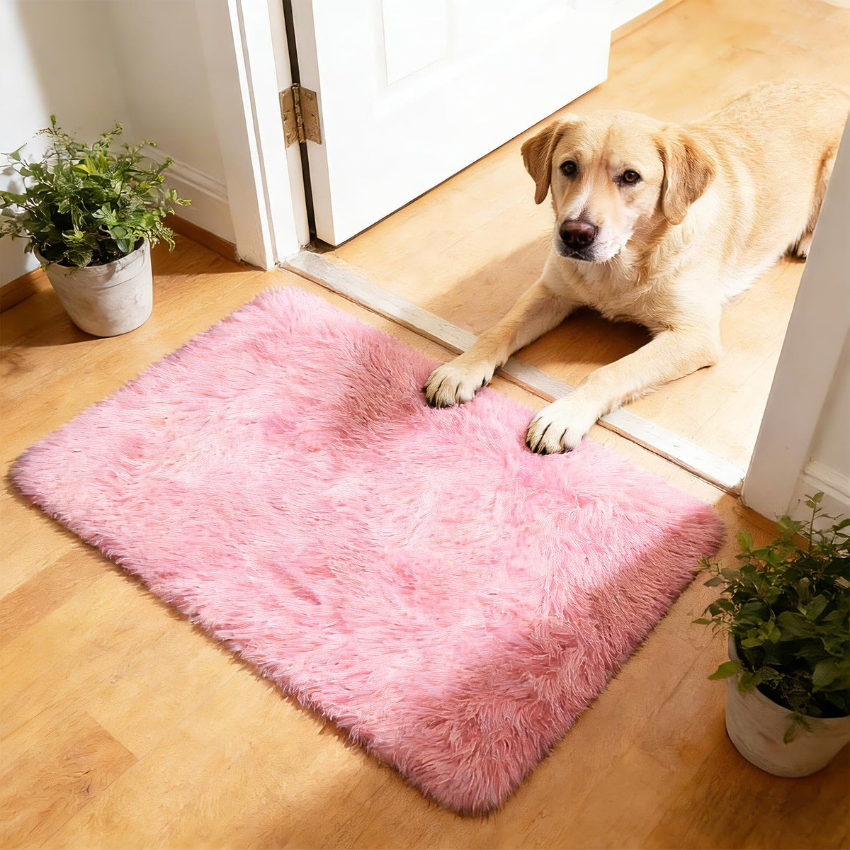 6x9 Black Fluffy Area Rug for Living Room,Large Shag Area Rugs for Bedroom