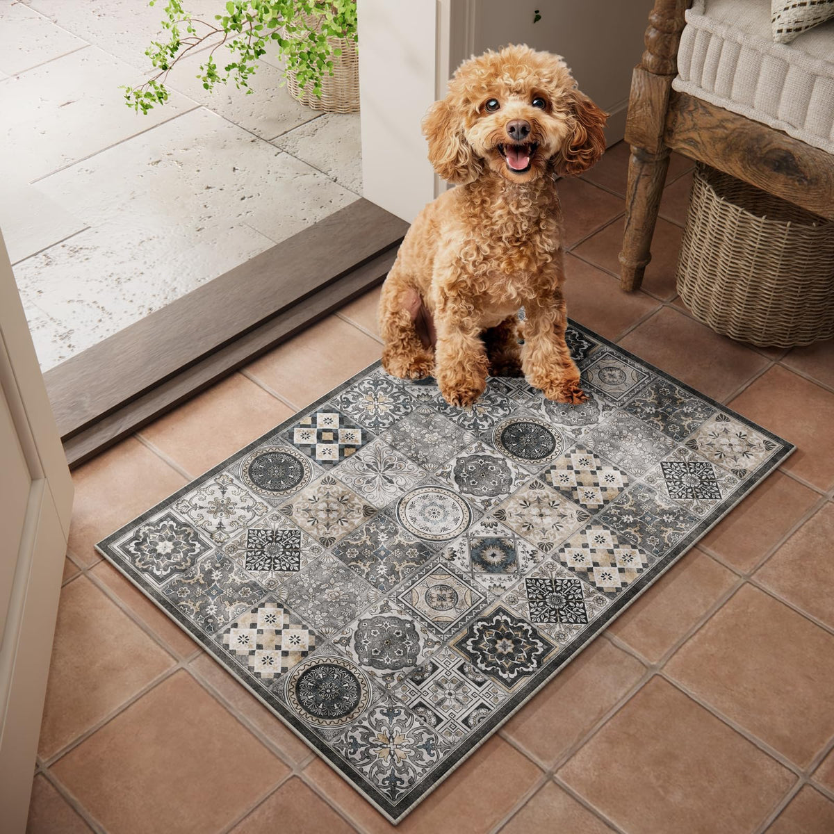 Machine Washable Rugs for Living Room: 8x10 Area Rugs for Bedroom