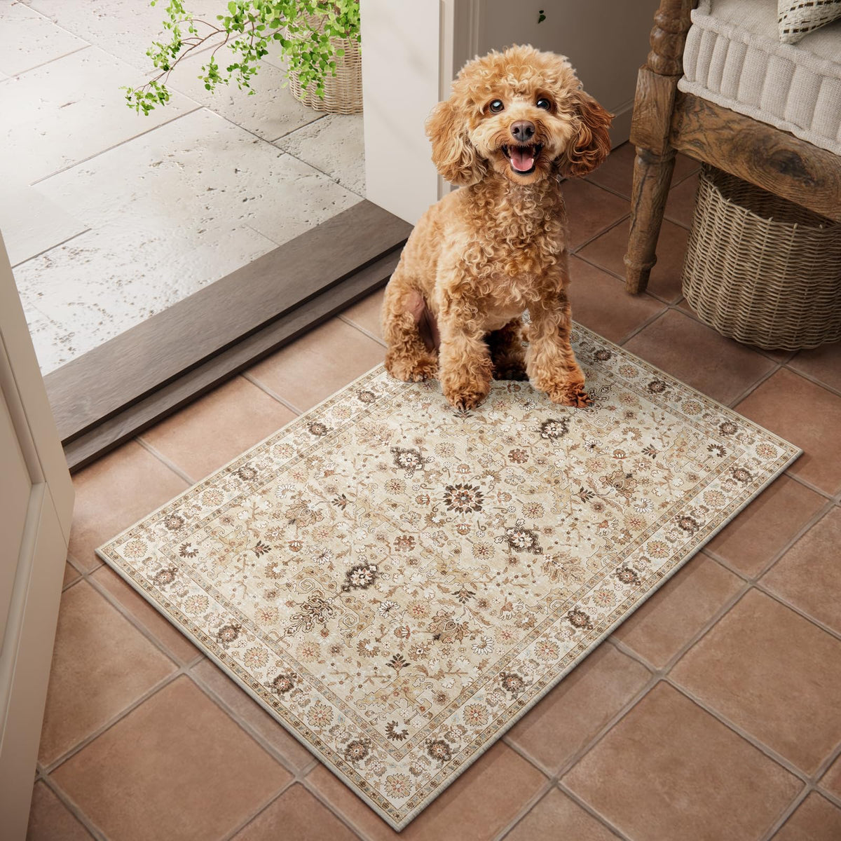 Machine Washable Rugs for Living Room: 8x10 Area Rugs for Bedroom