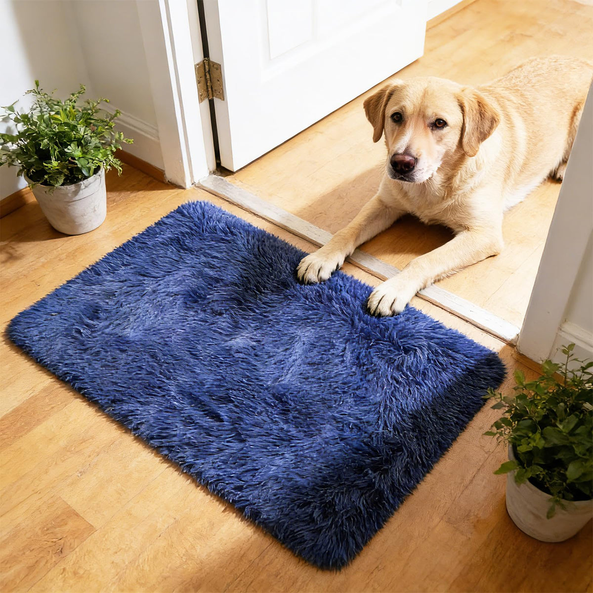 6x9 Black Fluffy Area Rug for Living Room,Large Shag Area Rugs for Bedroom