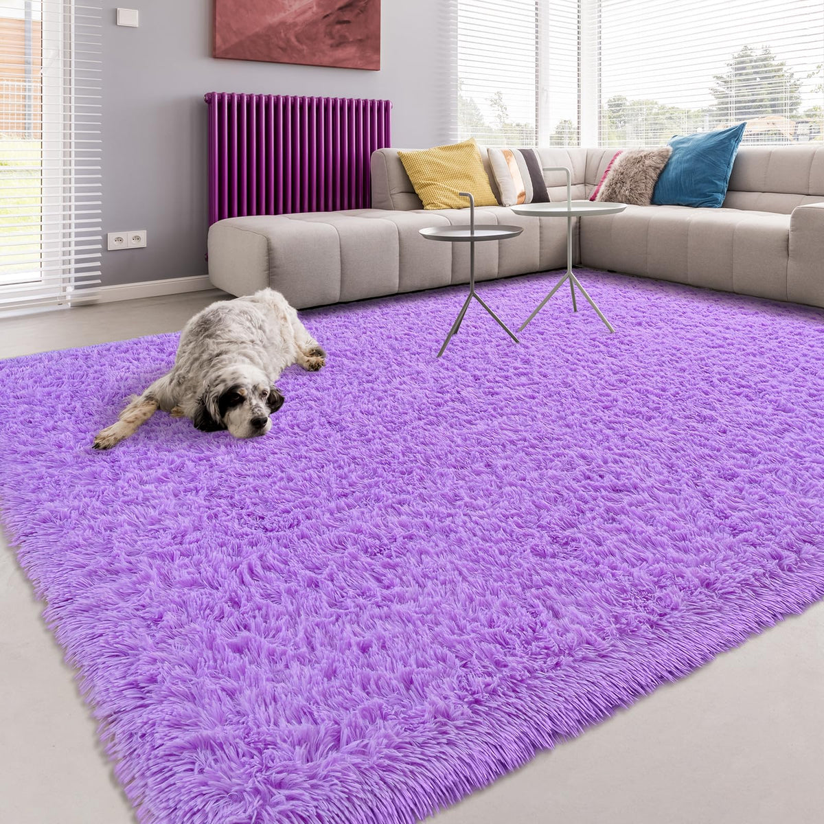Softlife Rugs for Bedroom 4x5.3 Feet Purple Area Rug for Living Room Super Soft Shaggy Rugs for Dorm Fluffy Fuzzy Carpets Long Plush Bedside Rug Nursery Girls Boys Kids Room Home Christmas Decoration