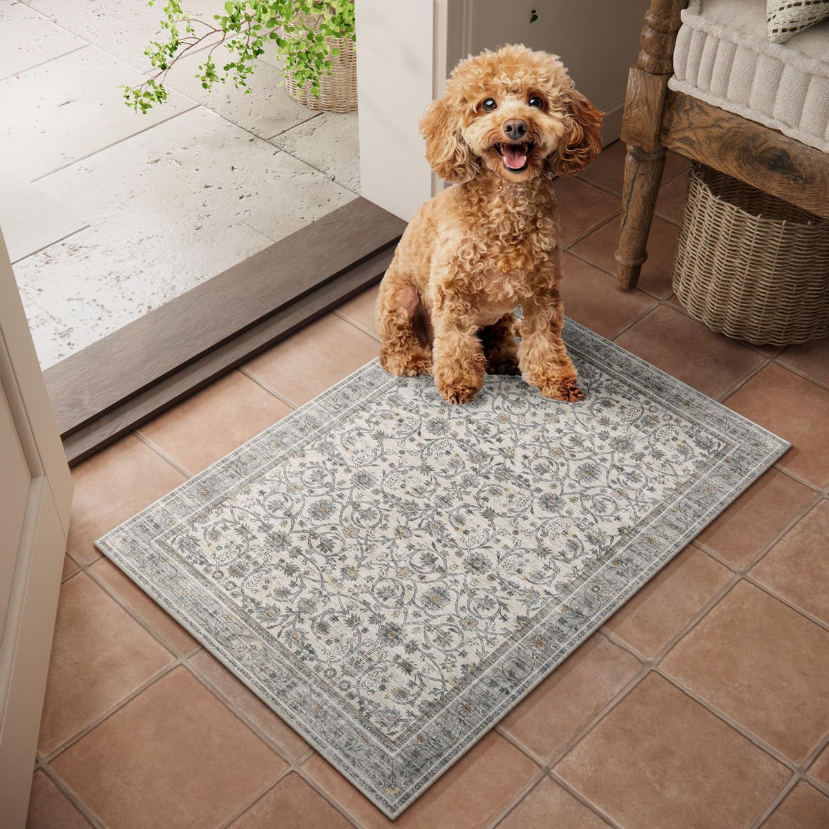 Machine Washable Rugs for Living Room: 8x10 Area Rugs for Bedroom
