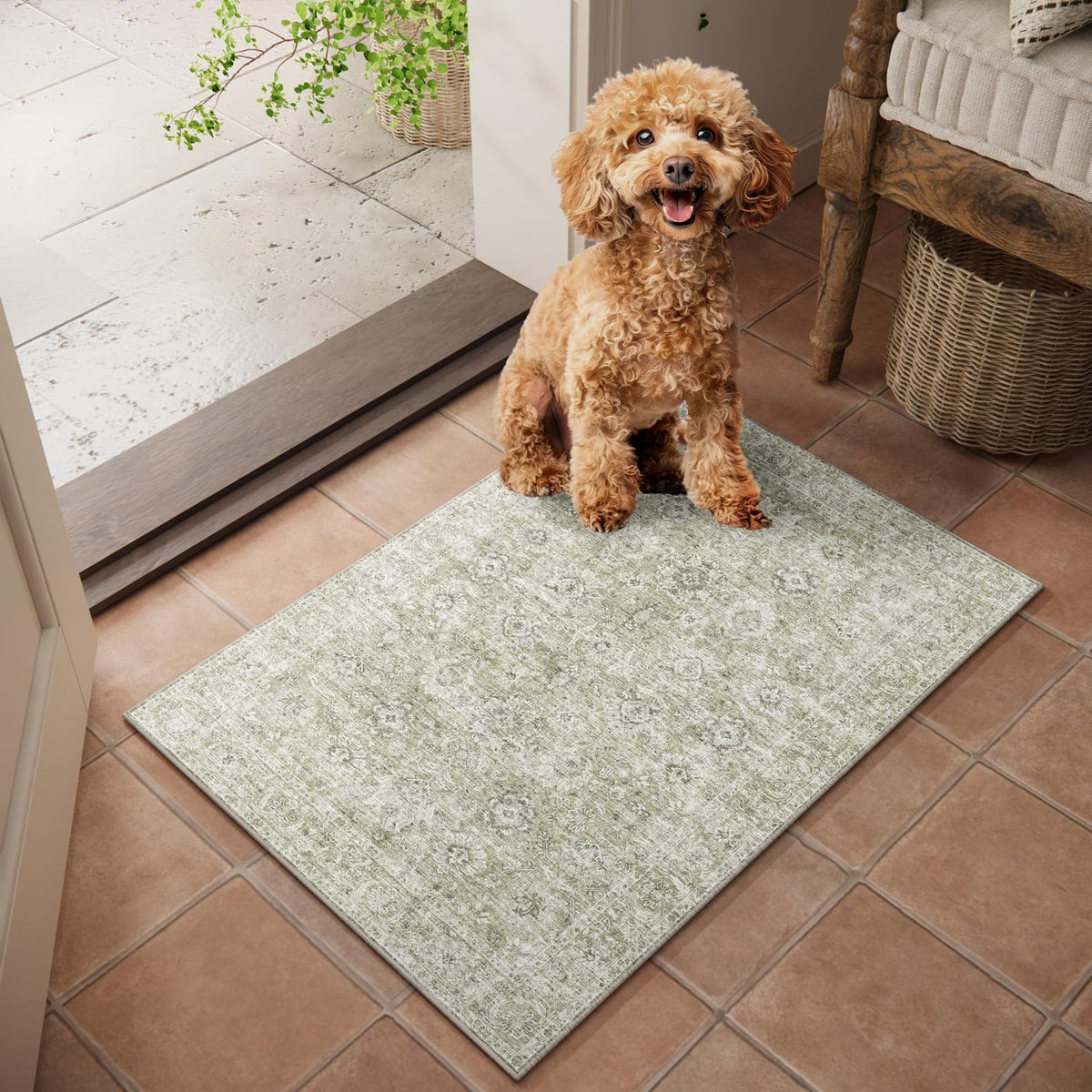 Machine Washable Rugs for Living Room: 8x10 Area Rugs for Bedroom
