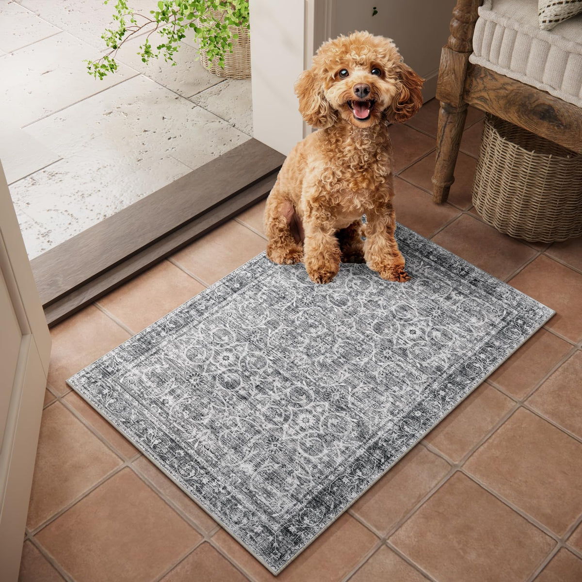 Machine Washable Rugs for Living Room: 8x10 Area Rugs for Bedroom