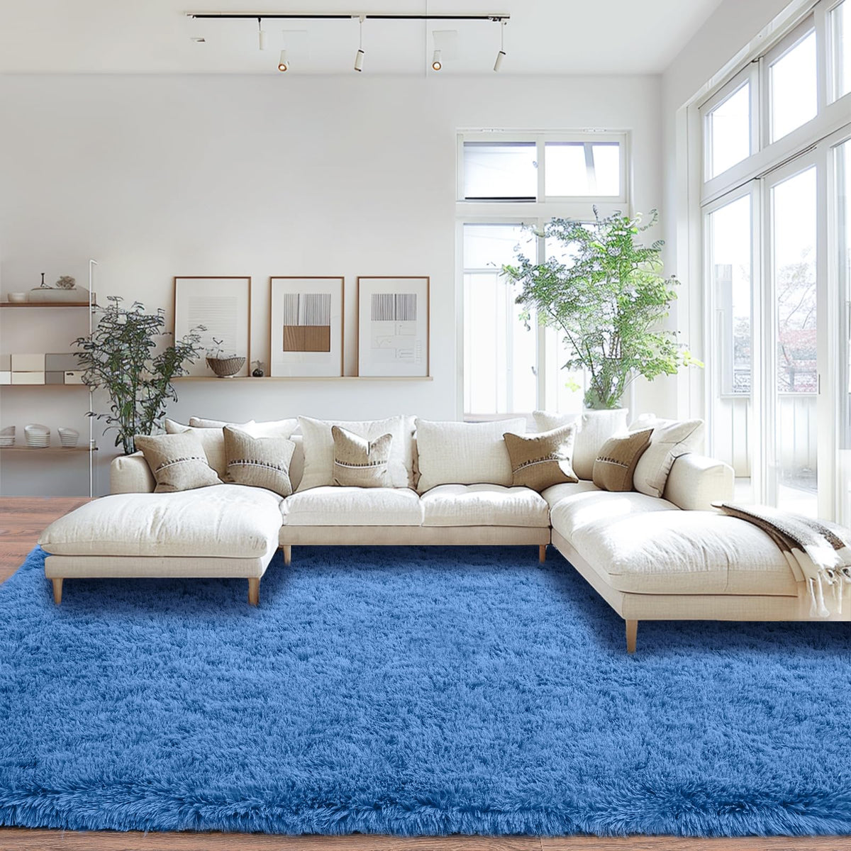 Mugorn 8x10 Area Rugs for Living Room, Large Fluffy Black Rugs for Bedroom