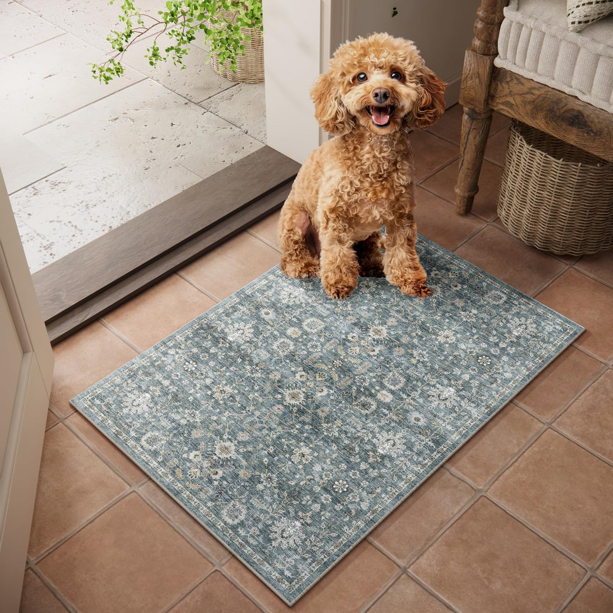 Machine Washable Rugs for Living Room: 8x10 Area Rugs for Bedroom