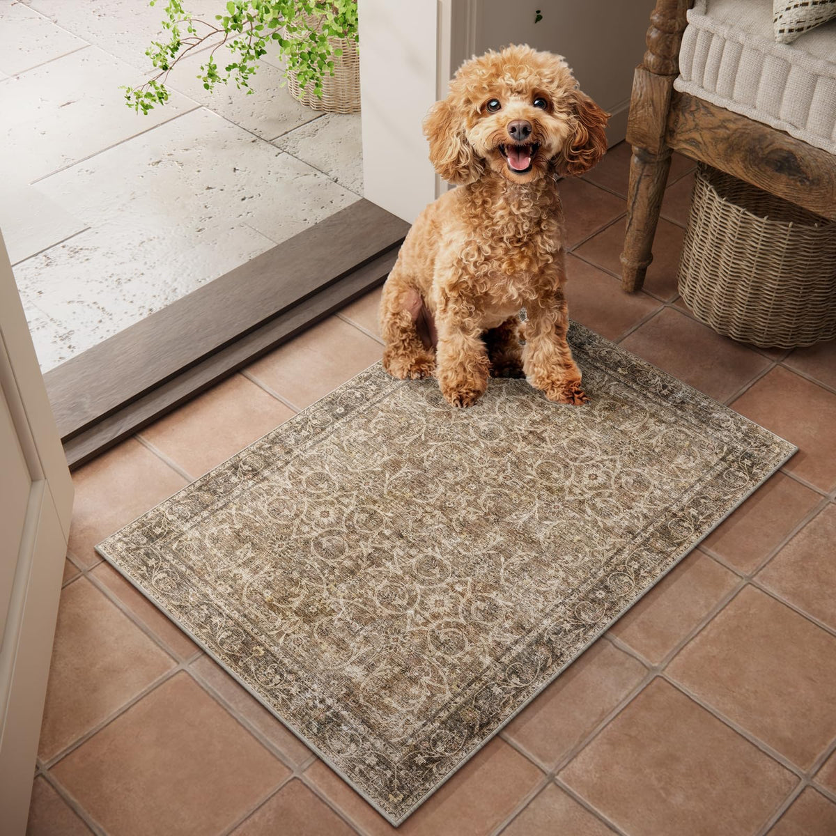 Machine Washable Rugs for Living Room: 8x10 Area Rugs for Bedroom