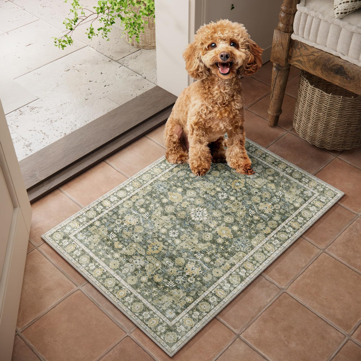 Machine Washable Rugs for Living Room: 8x10 Area Rugs for Bedroom