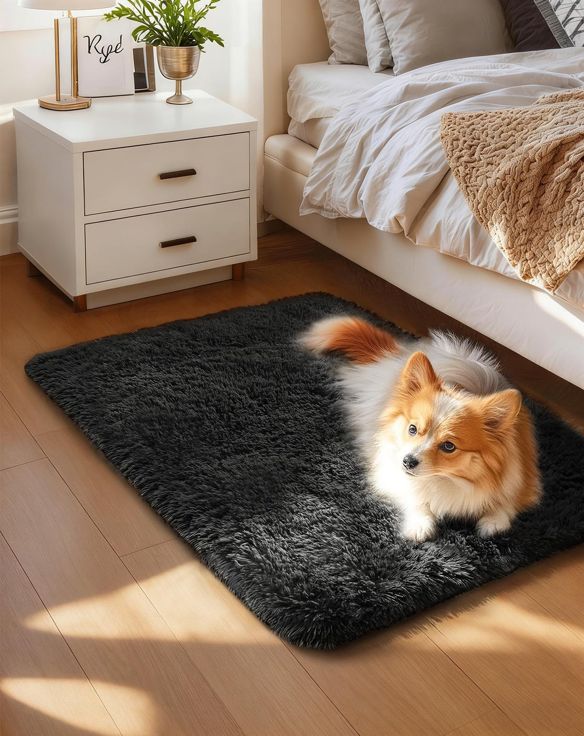 Ophanie 5x7 Area Rugs for Living Room Ivory, Fluffy Shag Large Fuzzy Plush Soft Rug, Shaggy Floor Big Carpets for Bedroom Nursery, Kids Home Decor Aesthetic with Over 99 pcs Pile fibers