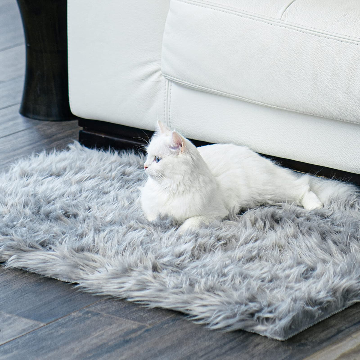 Ophanie 5x7 Area Rugs for Living Room Ivory, Fluffy Shag Large Fuzzy Plush Soft Rug, Shaggy Floor Big Carpets for Bedroom Nursery, Kids Home Decor Aesthetic with Over 99 pcs Pile fibers