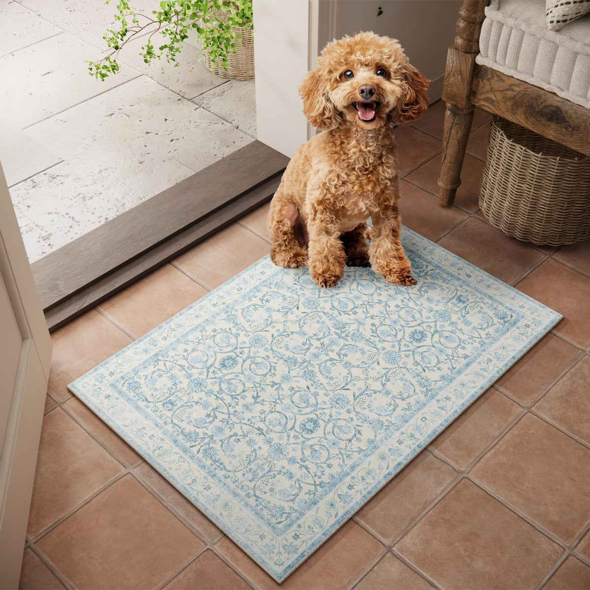 Machine Washable Rugs for Living Room: 8x10 Area Rugs for Bedroom