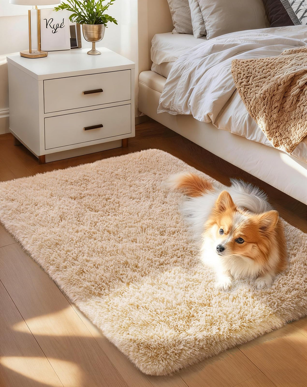 Ophanie 5x7 Area Rugs for Living Room Ivory, Fluffy Shag Large Fuzzy Plush Soft Rug, Shaggy Floor Big Carpets for Bedroom Nursery, Kids Home Decor Aesthetic with Over 99 pcs Pile fibers