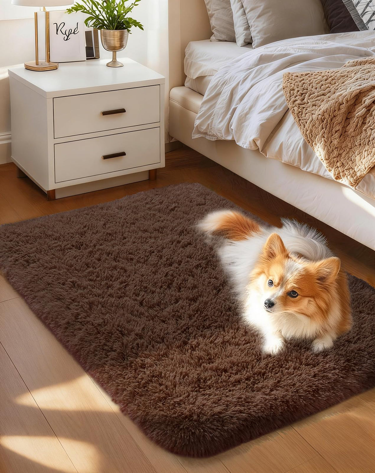 Ophanie 5x7 Area Rugs for Living Room Ivory, Fluffy Shag Large Fuzzy Plush Soft Rug, Shaggy Floor Big Carpets for Bedroom Nursery, Kids Home Decor Aesthetic with Over 99 pcs Pile fibers