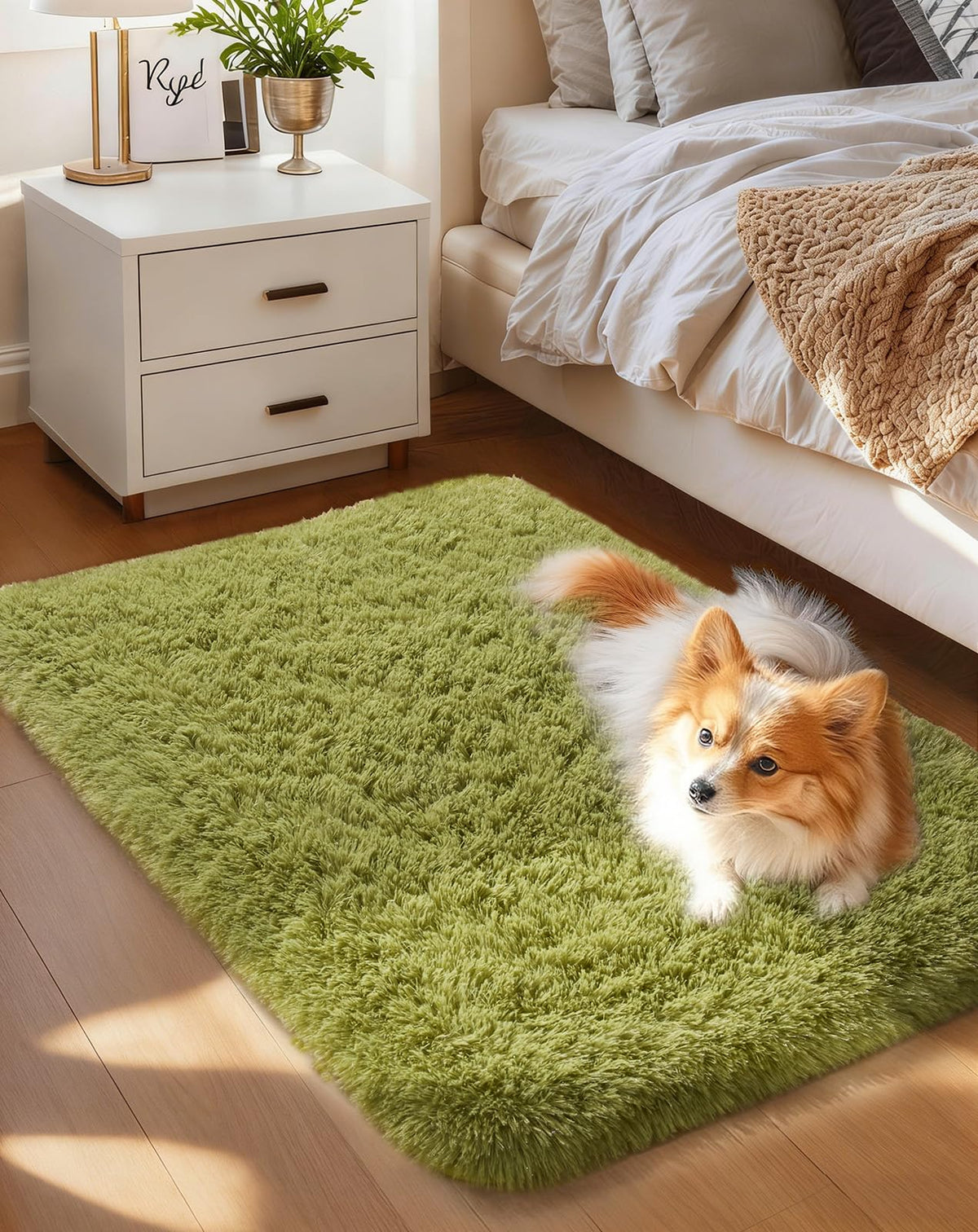 Ophanie 5x7 Area Rugs for Living Room Ivory, Fluffy Shag Large Fuzzy Plush Soft Rug, Shaggy Floor Big Carpets for Bedroom Nursery, Kids Home Decor Aesthetic with Over 99 pcs Pile fibers