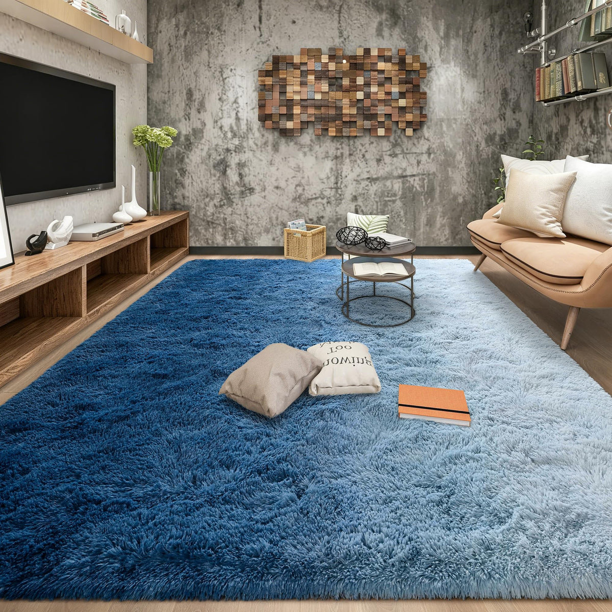 Tepook 4x6 Soft Fluffy Rug for Bedroom Fuzzy Black Rugs for Living Room
